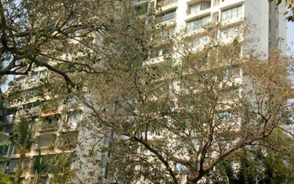 Midtown Apartments, Worli