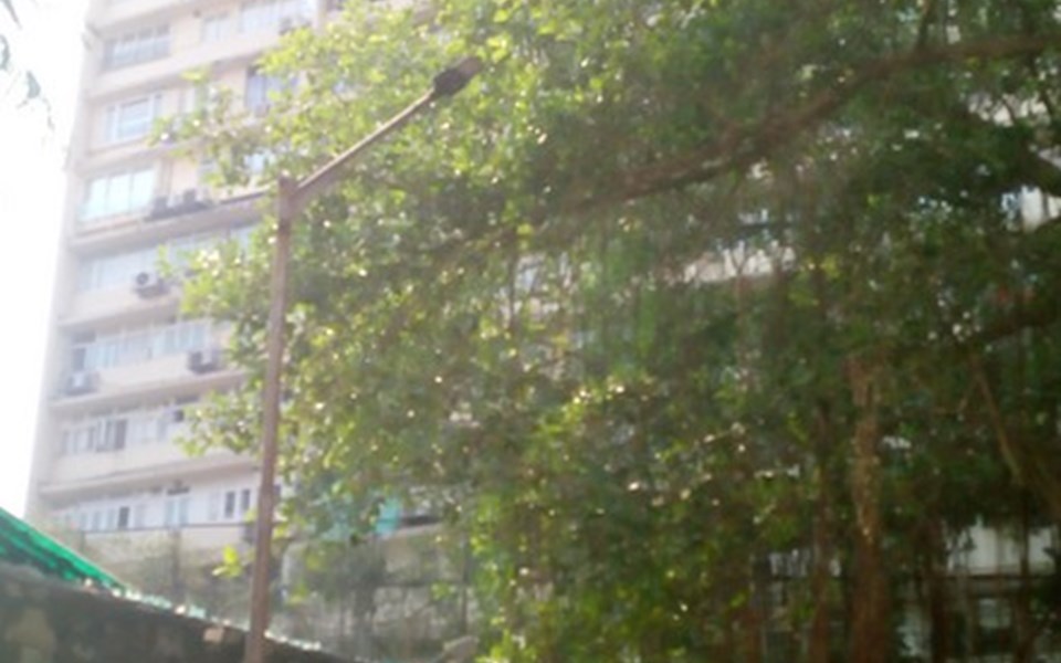 Mount Unique, Peddar Road