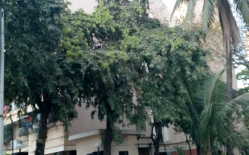 Shubh Apartment, Worli