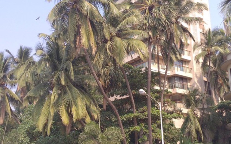 Clefepete, Bandra West