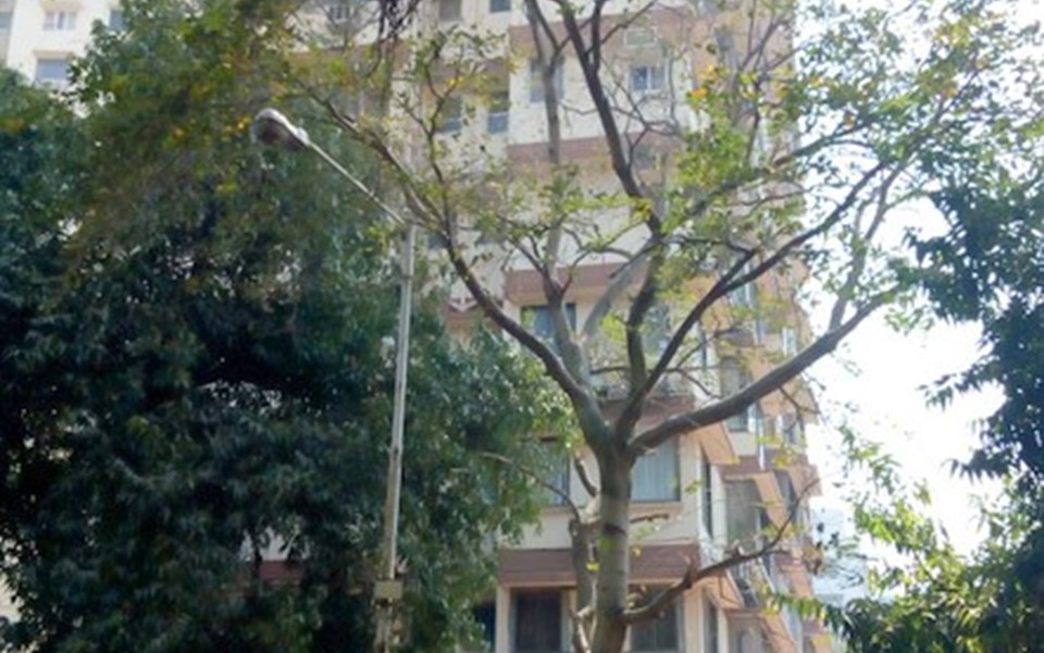 Divyalok, Walkeshwar