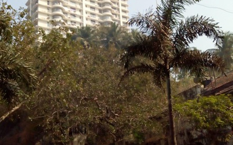 Mont Blanc - Kemps Corner, Kemps Corner