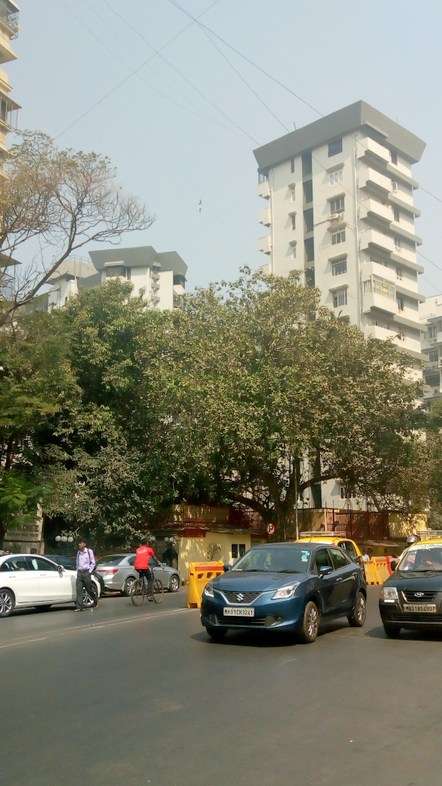 2 BHK Semi Furnished in Diamond Court , Nepeansea Road