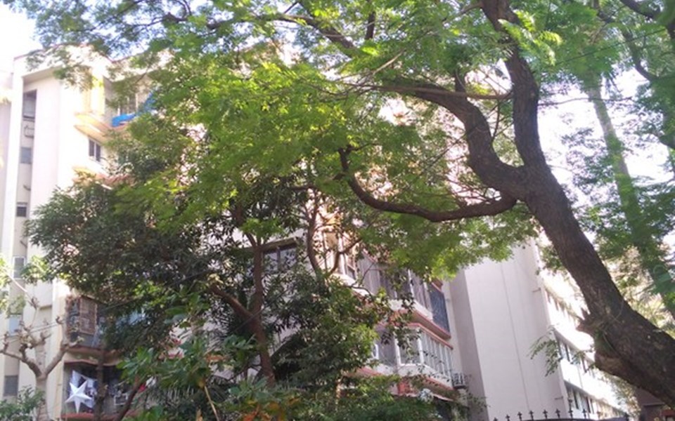 Sea Gull, Bandra West