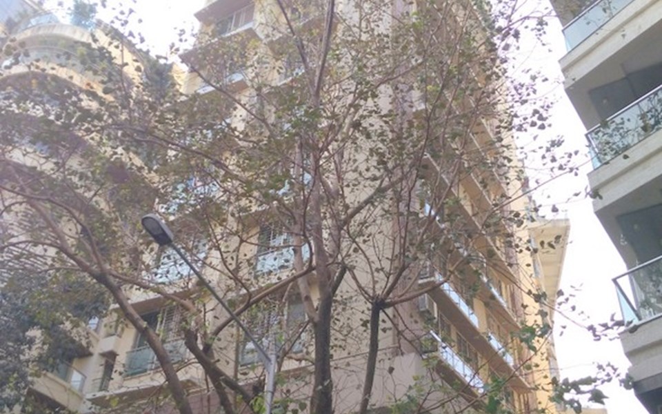 Kanaiya Kutir, Khar West