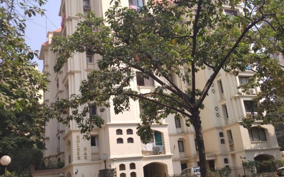 Golden Oak, Powai