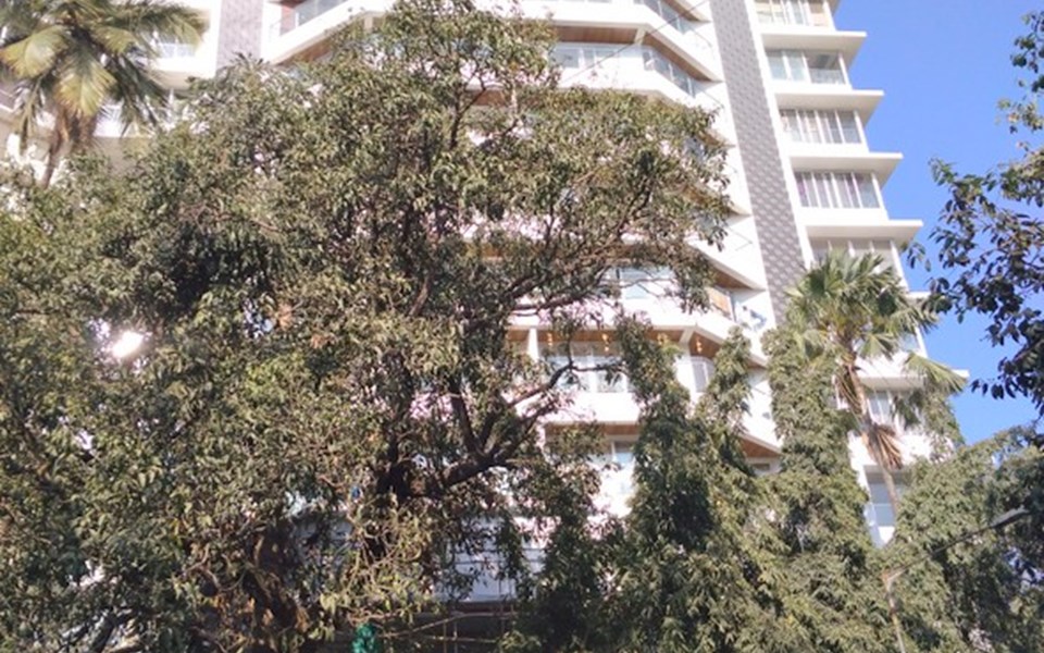 Sapphire, Santacruz West