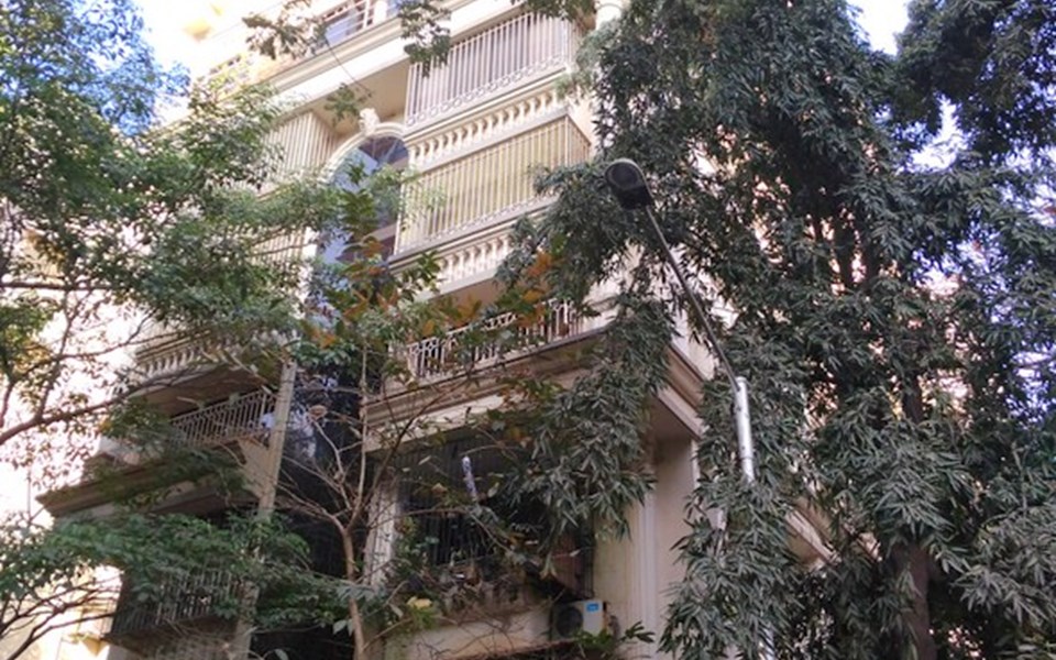 Shamrock, Santacruz West