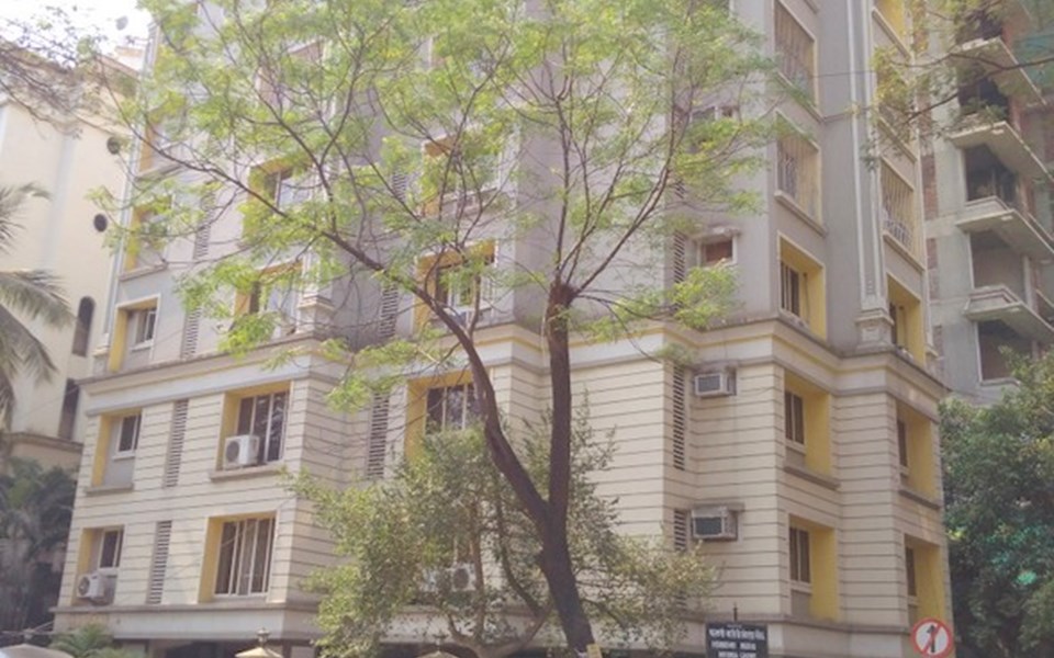 Alicia, Santacruz West