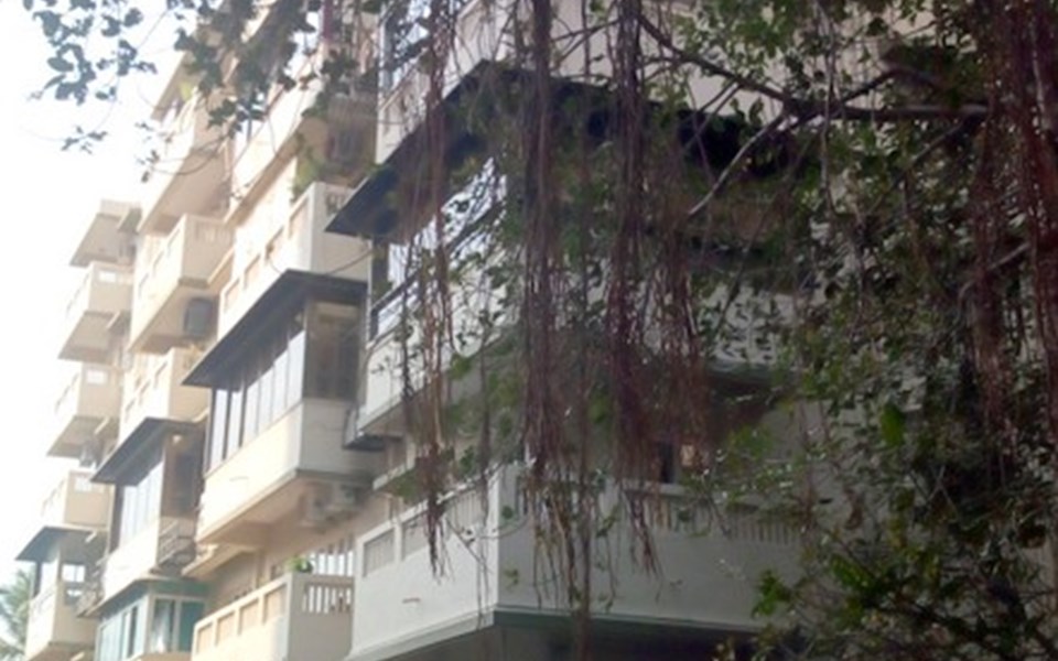 Chandan, Peddar Road