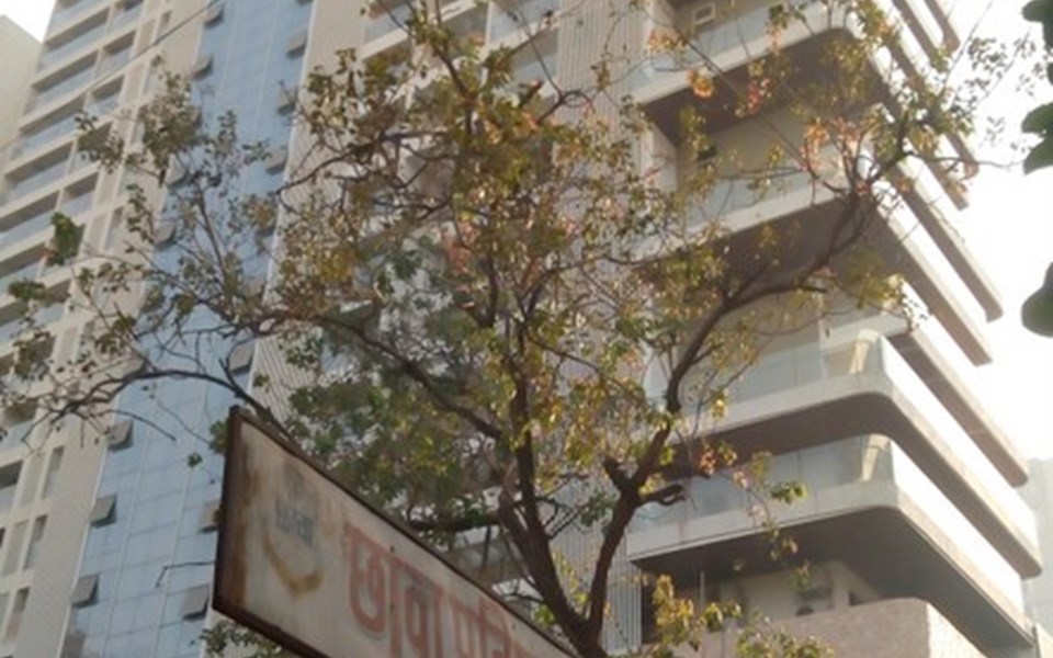 Suvidha Emerald, Prabhadevi