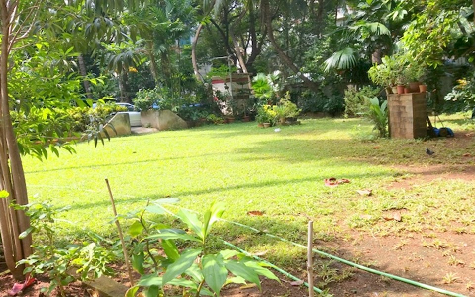 Garden - Bhanu Apartment, Juhu