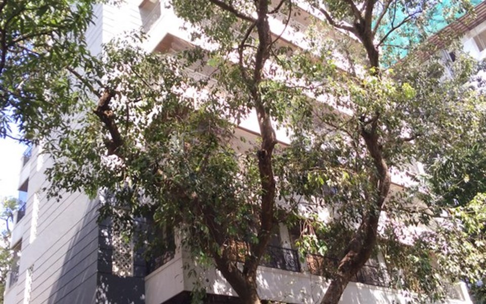 Emporis, Bandra West