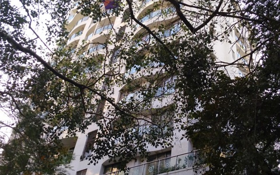 Joy White House, Santacruz West