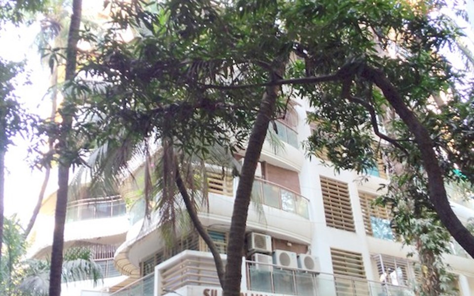 Silicon Valley, Santacruz West