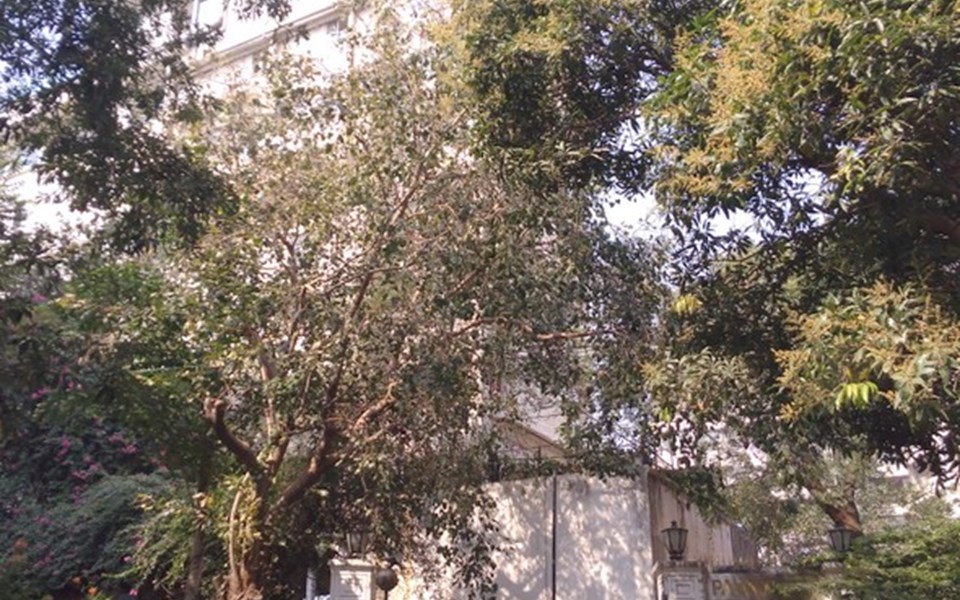 Padamsee House, Bandra West
