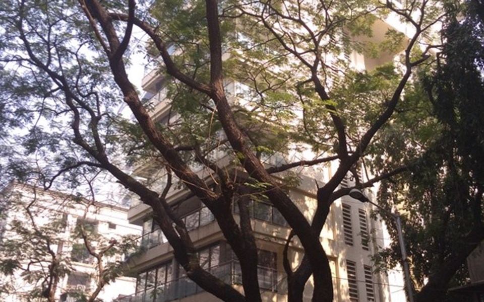 Glamour Heights, Khar West