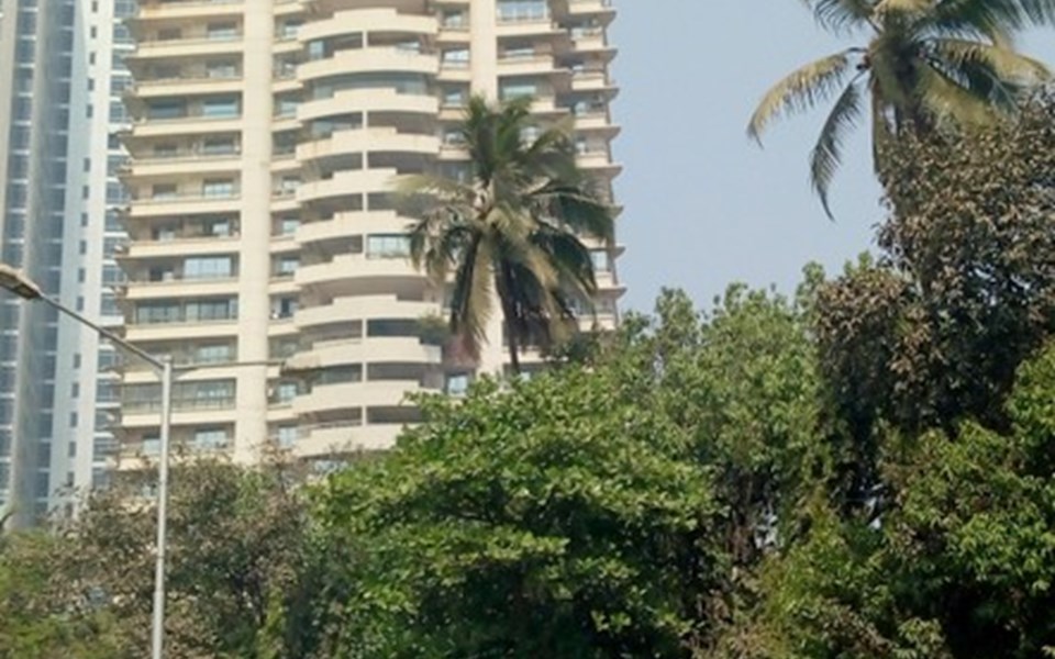 Zahra, Worli