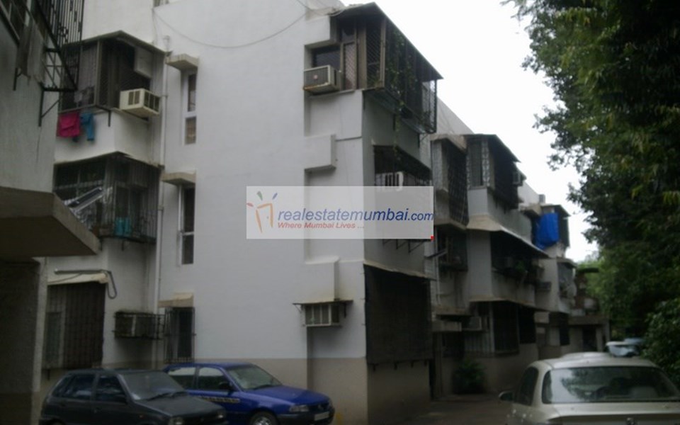 Starsway Society, Juhu