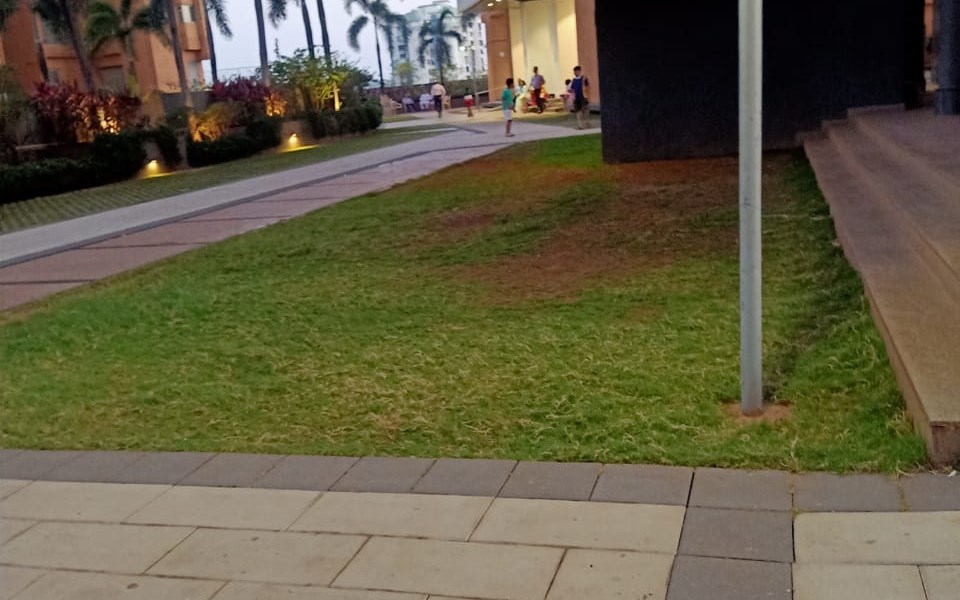 Garden1 - Db Woods, Goregaon East