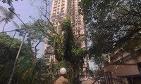 Rushabh Towers