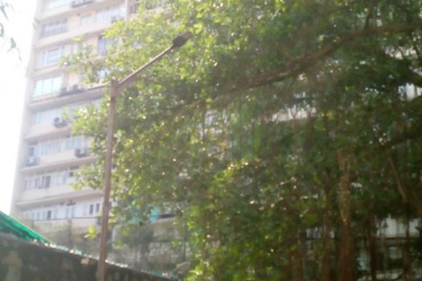 Flat on rent in Mount Unique, Peddar Road