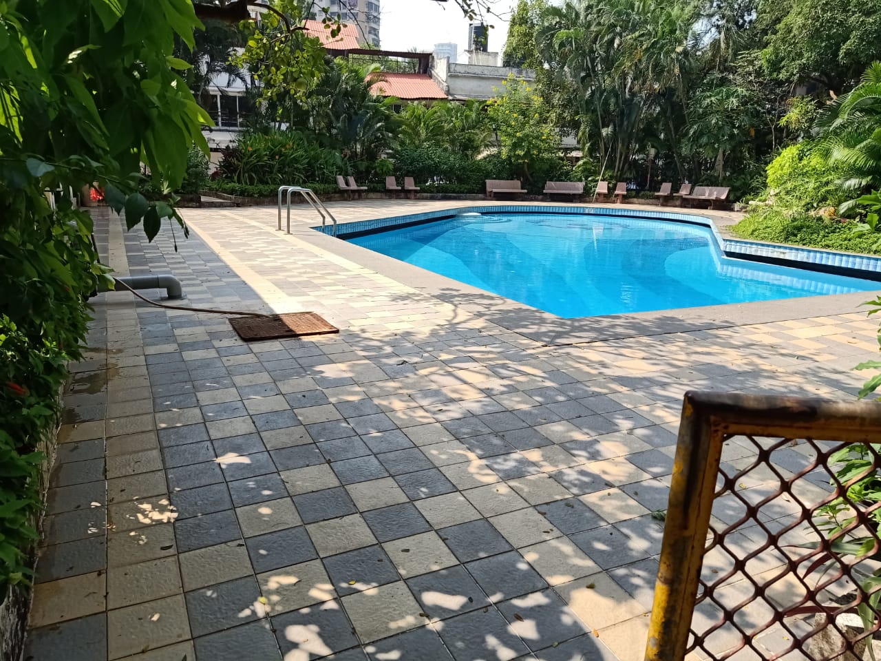 Swimming Pool - Premium Tower, Andheri West
