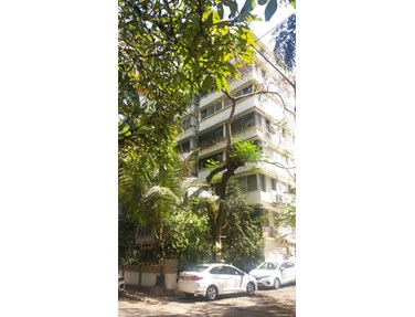 Building1 - Dharamjyot 2, Bandra West