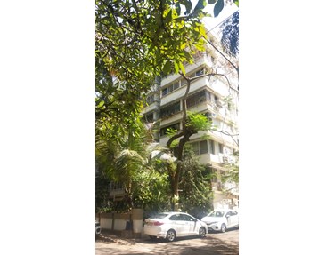 Building1 - Dharamjyot, Bandra West