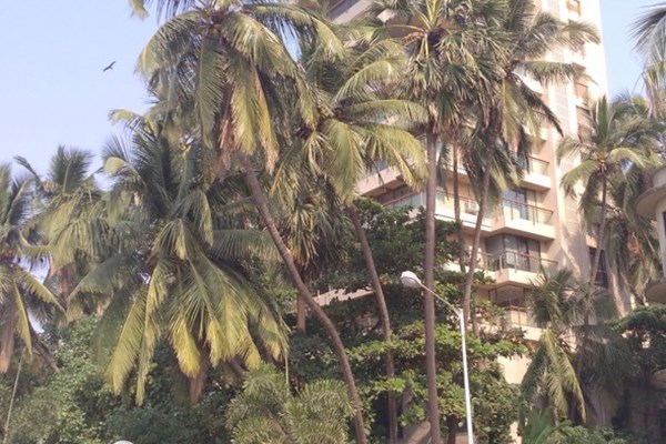Flat on rent in Clefepete, Bandra West