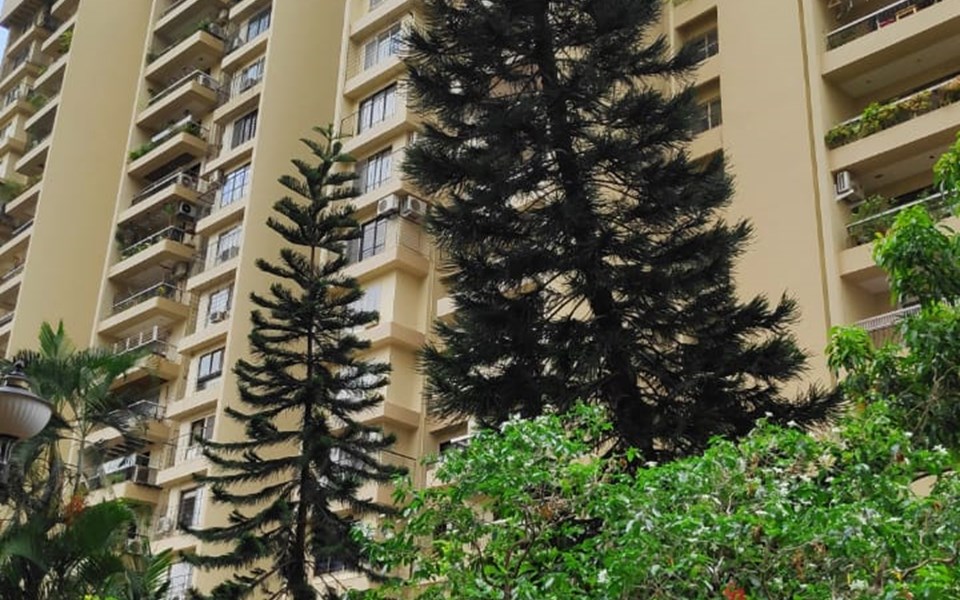 Building - Green Acres, Andheri West