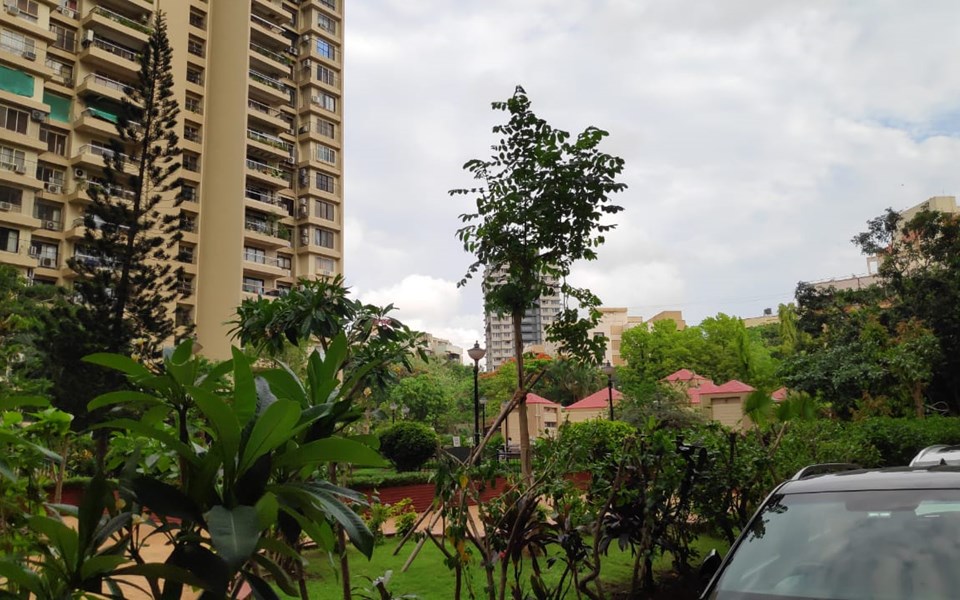 View3 - Green Acres, Andheri West