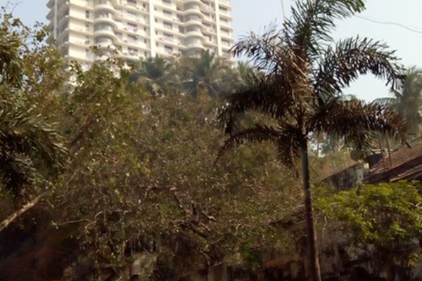 Flat on rent in Mont Blanc, Kemps Corner