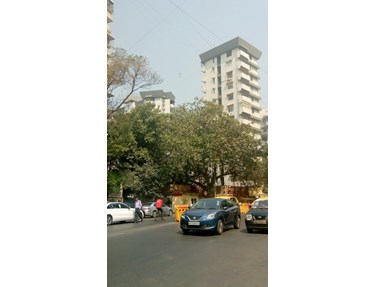 Diamond Court, Nepeansea Road