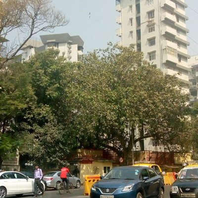 Flat for sale in Diamond Court, Nepeansea Road