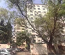 Flat on rent in Advent, Nariman Point