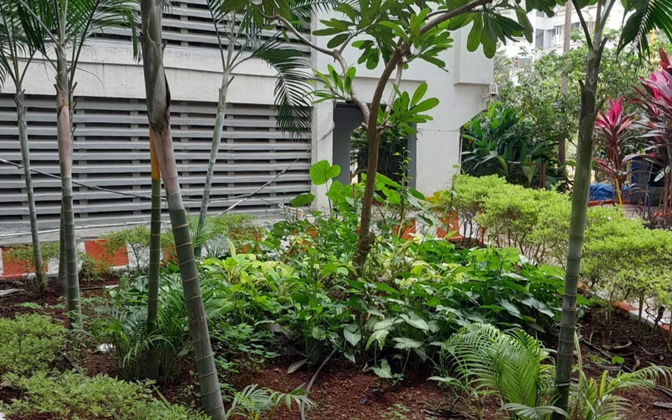 8 - Tarapore Gardens, Andheri West