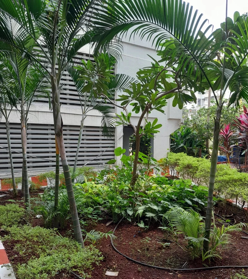 8 - Tarapore Garden, Andheri West