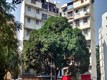 Flat for sale in Ashiyana, Andheri West