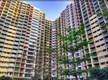 Flat on rent in Vasant Oasis, Andheri East