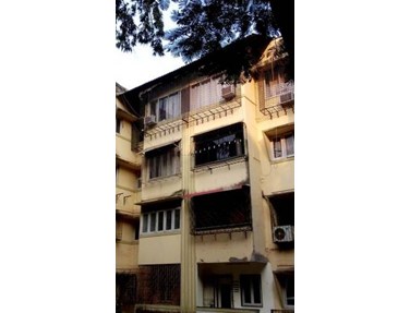 Evergreen, Bandra West
