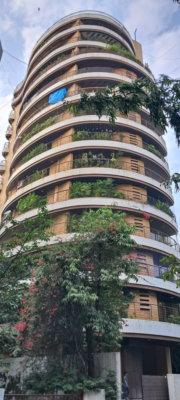 50 - Buena Vista, Bandra West