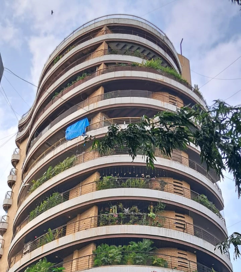 50 - Buena Vista, Bandra West