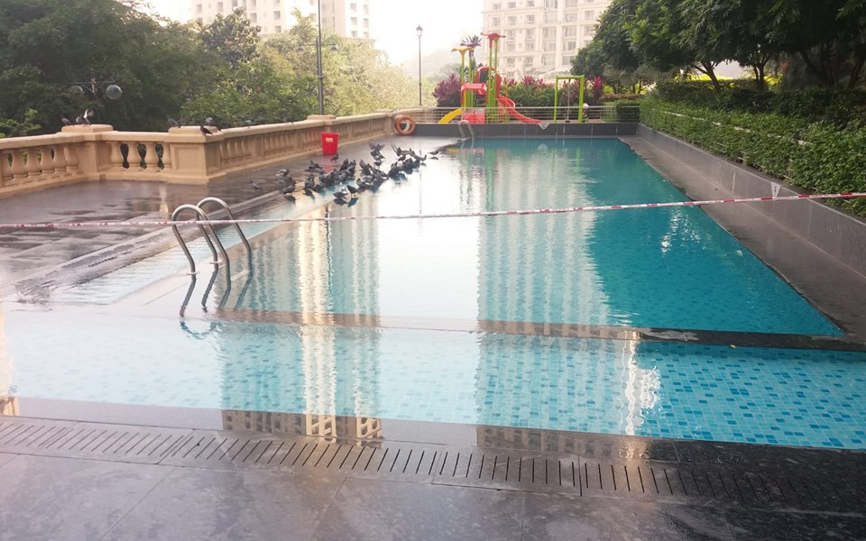 Building2 - Adonia, Powai