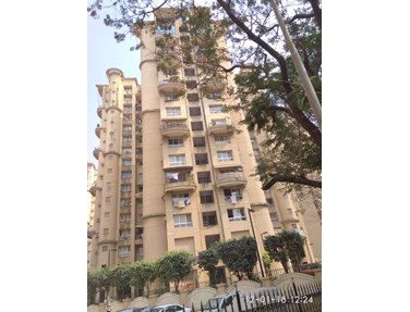 Fiorello, Powai