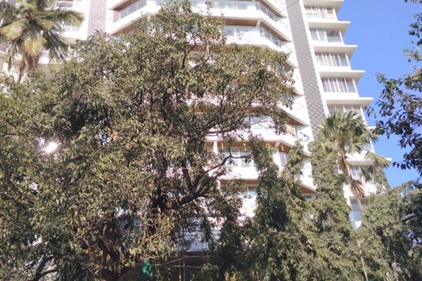 Flat on rent in Sapphire, Santacruz West