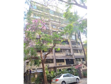 Bamboo House, Santacruz West