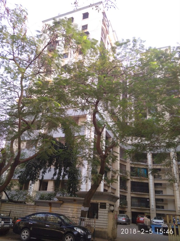3 BHK Flats for Sale in Juhu Griha Swapna, Juhu