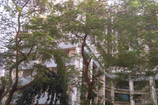 Flat for sale in Juhu Griha Swapna, Juhu