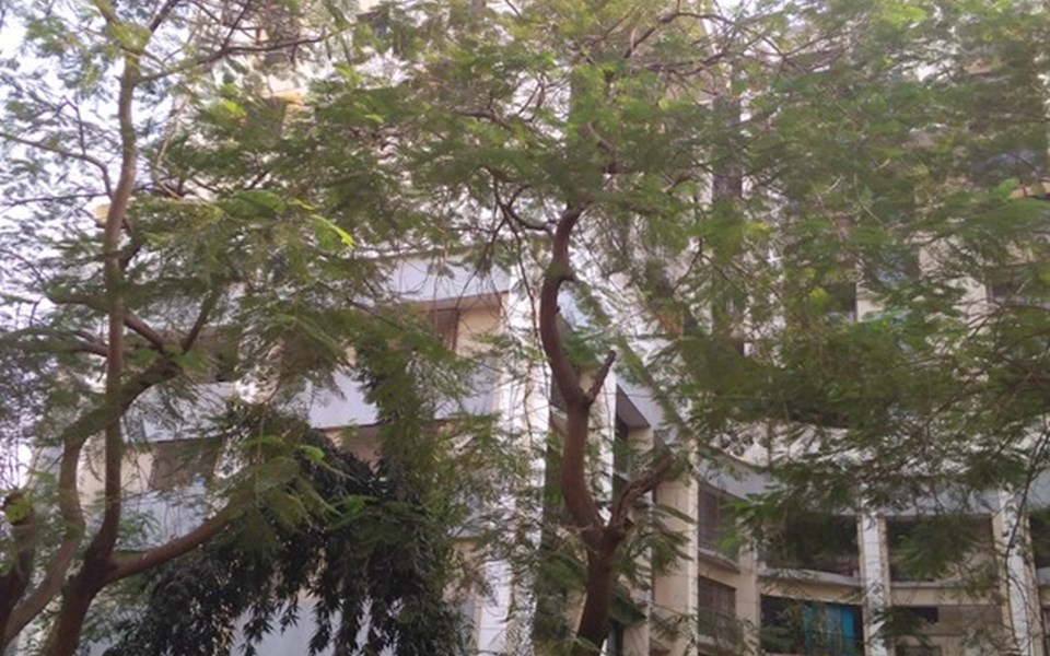 Building - Juhu Griha Swapna, Juhu
